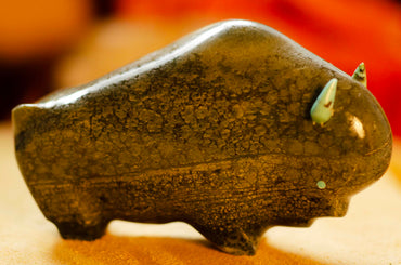 Lynn Quam Dream Buffalo