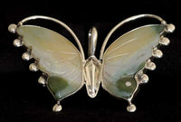 E.G. BIghand Silver Butterflies